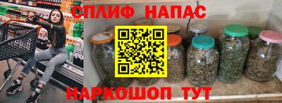 PSILOCYBIN Нальчик