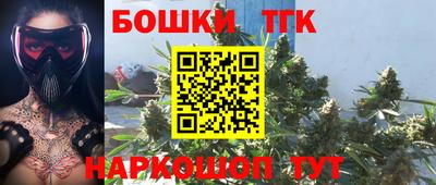 PSILOCYBIN Нальчик