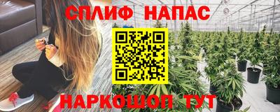 PSILOCYBIN Нальчик