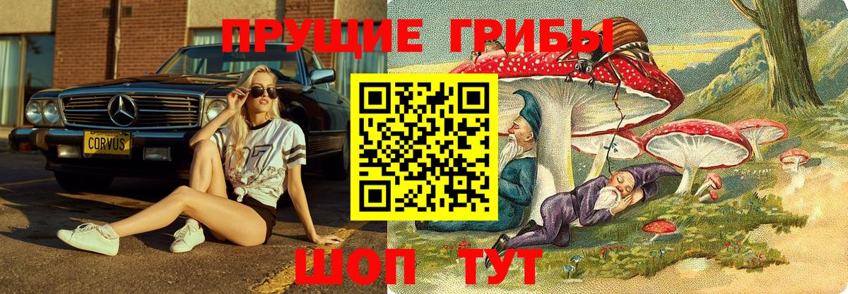 Псилоцибиновые грибы Cubensis  Вход с VPN  Видное 