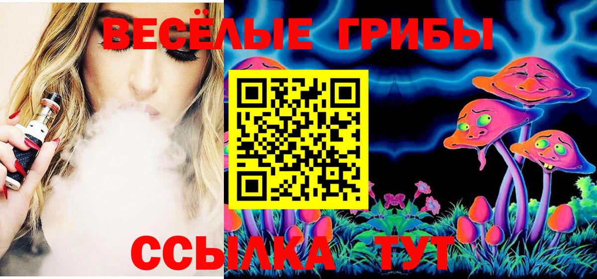 Галлюциногенные грибы Psilocybine cubensis Видное